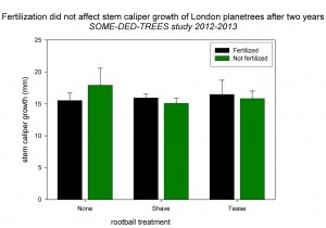Fig. 1 Two-year mean stem caliper growth of London planetrees subjected to root-ball treatments and fertilization. 